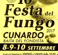 Fungo 2017 front.jpg Fungo 2017 front.jpg